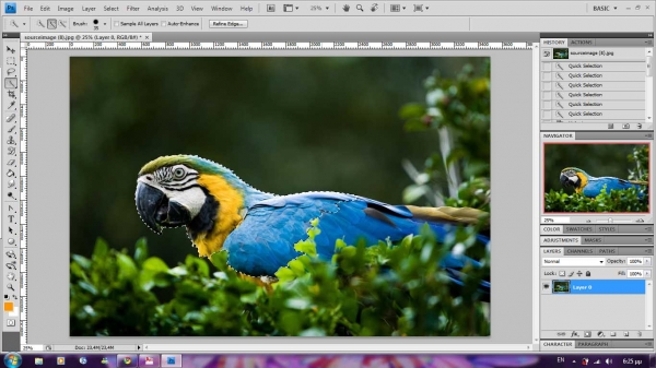Creation of parrot painting [updated]: Step 1